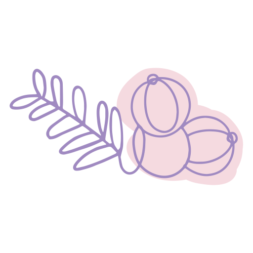 Illustration of Amla fruit extract